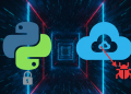 Python Zararlı Yazılım Saldırıları Analizi